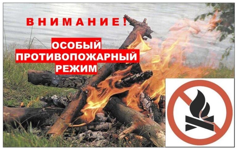 На территории Свердловской области с 15 апреля установлен особый противопожарный режим